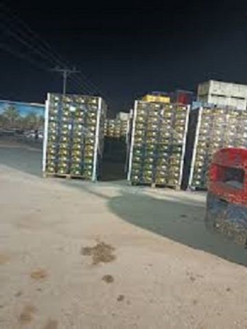 الأردن يعفي صادرات زراعية فلسطينية من الرسوم والغرامات