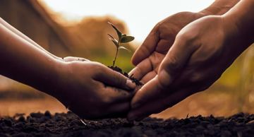 بلدية دير علا تباشر بالمرحلة الثالثة من مشروع التشجير