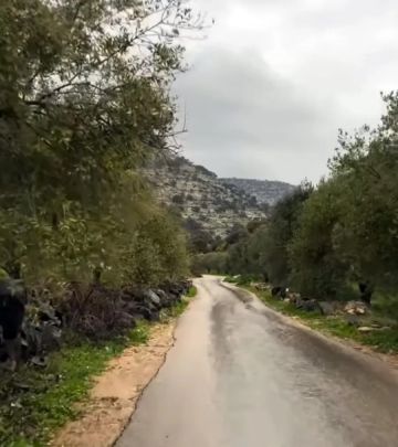 زراعة إربد: المنخفض الحالي يدعم الموسم الزراعي ويعزز من مخزون الرطوبة في التربة