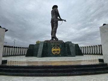 طهبوب: أنا ابنة أردن الكرامة 