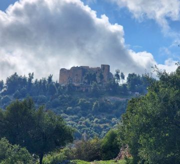 عجلونيات: يوم الأم عطاء متجدد ودور ريادي في بناء المجتمع عجلونيات: يوم الأم عطاء متجدد ودور ريادي في بناء المجتمع