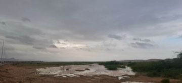 بعد سنوات الجفاف .. الأمطار الغزيرة تنعش الحياة لقاع السعيديين