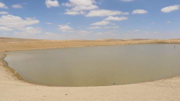  زراعة المفرق : ارتفاع نسبة تخزين مياه الأمطار في الحفائر والسدود إلى 60 بالمئة