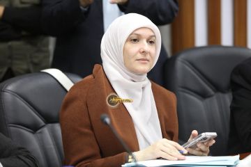 النمور : قانون الضمان جريح والمجلس يمتلك رده