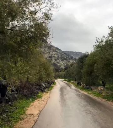 زراعة إربد: المنخفض الحالي يدعم الموسم الزراعي