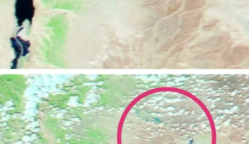 أمطار غزيرة تحيي واحة الأزرق وتعيد الحياة للبادية الأردنية أمطار غزيرة تحيي واحة الأزرق وتعيد الحياة للبادية الأردنية