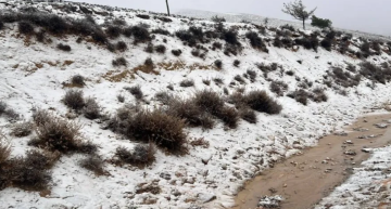 الأمن العام يحذر من الانزلاقات وتدني الرؤية مع بدء تراكم الثلوج بالرشادية والشوبك