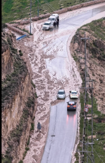 إعادة فتح طريق الشجرة المغير واستئناف حركة المرور