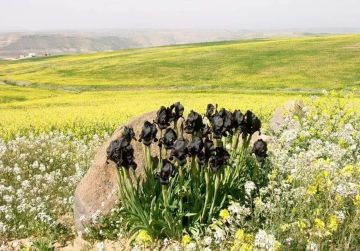 الأربعاء .. حالة عدم استقرار جوي مرتقبة.. أمطار رعدية غزيرة ليلا وفجر الخميس وتحذيرات من السيول