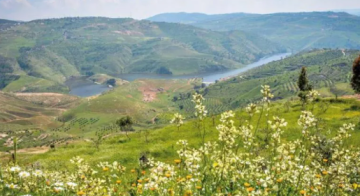 الجمعية الفلكية الأردنية:الاعتدال الربيعي يبدأ الجمعة