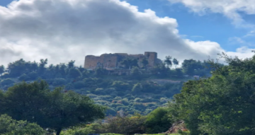 عجلونيات: يوم الأم عطاء متجدد ودور ريادي في بناء المجتمع