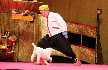 ثلاث قطط ناجيات من مناطق النزاع يتألقن على خشبة مسرح كوكلاشيف ثلاث قطط ناجيات من مناطق النزاع يتألقن على خشبة مسرح كوكلاشيف