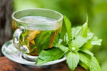 ما الفوائد الصحية لشرب النعناع يوميا؟