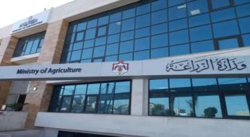 الزراعة: تعليق تصدير البندورة إلى كافة المقاصد لضبط الأسعار وتوفير المنتج محليا الزراعة: تعليق تصدير البندورة إلى كافة المقاصد لضبط الأسعار وتوفير المنتج محليا