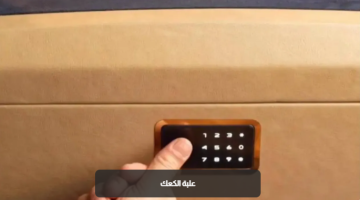 أغلى علبة كعك في مصر تشعل مواقع التواصل