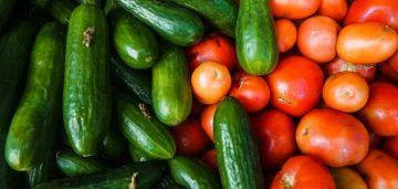 خريسات: مشكلة البندورة والخيار بسبب الظروف الجوية خريسات: مشكلة البندورة والخيار بسبب الظروف الجوية