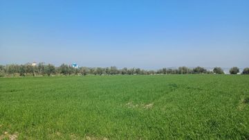 الاعتدال الربيعي يبدأ الجمعة 20 آذار