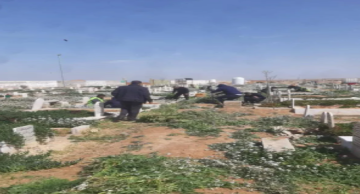 بلدية مادبا تنفذ حملة صيانة في المقابر والحدائق