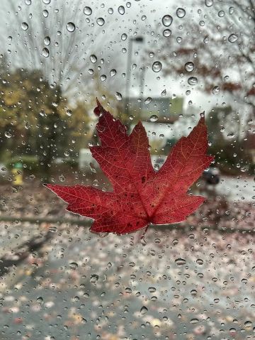 السبت: أجواء باردة وزخات محدودة من المطر