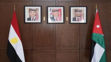 الصفدي يلتقي نظيره المصري في عمان