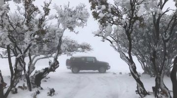 ثلوج فوق مرتفعات الجنوب الخميس عاجل