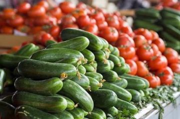 وزارة الزراعة تعلق تصدير البندورة والخيار برا لمدة 10 أيام