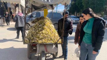  السلبين البري .. عشبة الربيع السورية بفوائد لا تقاوم