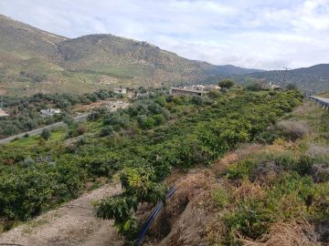 مشروع راجب الزراعي يعزز التنمية المستدامة في عجلون