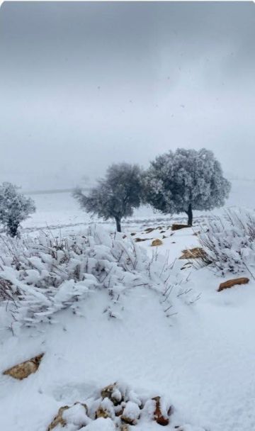 تساقط الثلوج في الهيشة بالشوبك وارتداء مناطق جنوب المملكة الثوب الأبيض تساقط الثلوج في الهيشة بالشوبك وارتداء مناطق جنوب المملكة الثوب الأبيض
