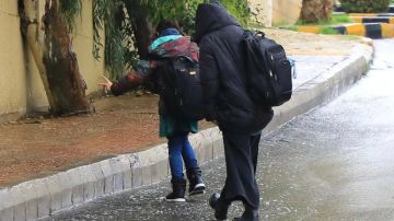 تعليق دوام مدارس لواء ذيبان غدا