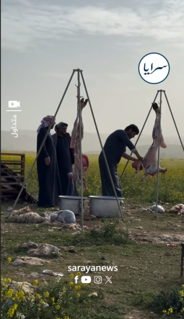 ماذا تعرف عن مخيم عبود الخالدي السياحي في بريقة المفرق .. فيديو