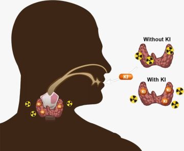 يوديد البوتاسيوم ودوره في الوقاية من مضاعفات الإشعاع النووي يوديد البوتاسيوم ودوره في الوقاية من مضاعفات الإشعاع النووي