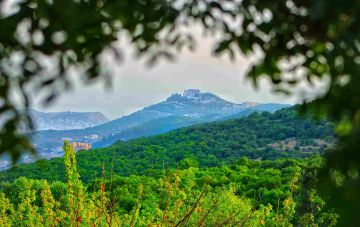 عجلون: دعوات لمعالجة البيوت المهجورة واستثمارها سياحيا وتراثيا