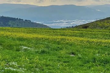 السبت .. ارتفاع طفيف على الحرارة وأجواء مستقرة نسبيا في الأردن مع احتمال أمطار فجرا