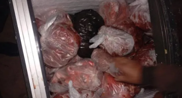 مخالفة 35 بسطة وإتلاف نحو 80 كغم لحوم غير صالحة للاستهلاك البشري مخالفة 35 بسطة وإتلاف نحو 80 كغم لحوم غير صالحة للاستهلاك البشري