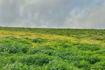 الاثنين .. ارتفاع طفيف على الحرارة وأمطار خفيفة متفرقة في الأردن