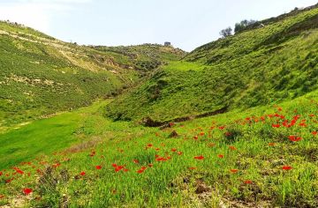 الجمعة .. ارتفاع طفيف على الحرارة وأجواء مائلة للبرودة في الجبال