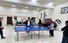 انطلاق منافسات المرحلة الثانية من بطولة تنس الطاولة في محافظة العاصمة - jo