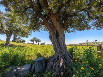 بالصور - الأمن العام يتمنى عطلة نهاية أسبوع ممتعة بالصور - الأمن العام يتمنى عطلة نهاية أسبوع ممتعة