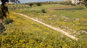 أجواء دافئة ومشمسة في أغلب مناطق المملكة الخميس