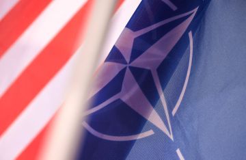 مسؤولون : تصريحات ترامب عن الناتو نمر من ورق لم تثر قلقا عميقا مسؤولون : تصريحات ترامب عن الناتو نمر من ورق لم تثر قلقا عميقا