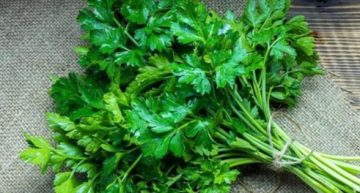 ماذا يحدث لجسمك عند وضع البقدونس على طعامك؟