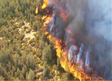 محافظ عجلون يترأس اجتماعا لبحث إجراءات الوقاية من حرائق الغابات