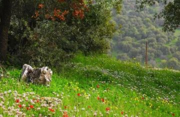 انخفاض على درجات الحرارة اليوم انخفاض على درجات الحرارة اليوم