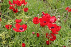 أجواء دافئة في أغلب المناطق اليوم