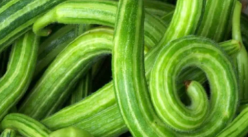 الفقوس والرجيم: هل يساهم في إنقاص الوزن؟