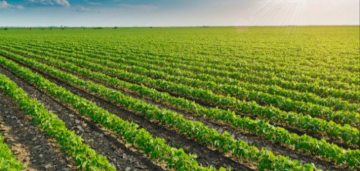 1464 مستفيدا من الإقراض الزراعي منذ مطلع 2026