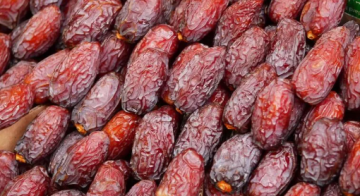 التمور الأردنية توسع انتشارها العالمي وتصل إلى 55 سوقا دوليا