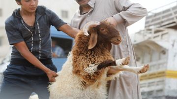 كم تبقى على عيد الأضحى 2026 .. الموعد المتوقع فلكيا كم تبقى على عيد الأضحى 2026 .. الموعد المتوقع فلكيا
