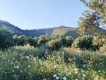 أجواء لطيفة اليوم